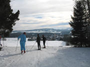 Blick vom Birkwegweck nach Sden auf St.Mrgen am 29.1.2006