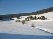 Blick nach Nordwesten zum Mattenhof am 23.1.2006 bei klirrender Klte