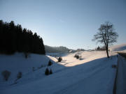 Blick nach Westen hoch zur Kalten Herberge im Urachtal am 23.1.2006 um 16 Uhr