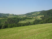 Blick vom Hirschbhl nach Westen auf Adelsberg und Gresgen am 13.6.2006