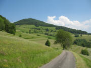 Blick bers Strchen von Adelsberg nach Blauen hoch zum Blauen am 13.6.2006