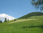 Blick nach Nordwesten zur Viehhtte am zeller Blauen (grnes Dach) am 13.6.2006 