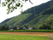 Blick nach Nordwesten zum Eichberg am 17.7.2006 um 19 Uhr