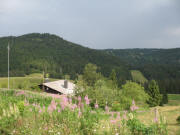 Blick nach Nordwesten über die Krunkelbachhütte zum Herzogenhorn am 28.7.2006