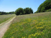 Blick vom Khlerplatz (rechts) nach Sdwesten zum Sonnenobservatorium am 2.7.2006