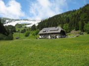 Blick nach Westen zum Hansenhof am 2.6.2006