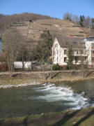 Blick nach Norden zum herbstlichen Weinberg in Hhe Schwendistrasse am 18.3.2006