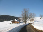 Blick nach Westen zum Ladenhof am 20.3.2006