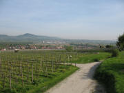 Blick nach Norden über Gottenheim zum Kaiserstuhl am 4.5.2006