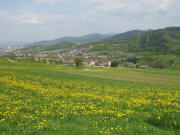 Blick über den Hauerhof nach Nordosten auf Merzhausen, Lorettoberg und Roßkopf am 3.5.2006