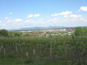 Blick vom Jesuitenschlo nach Nordwesten zum Kaiserstuhl am 24.5.2006