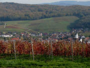 Blick vom Propfrebendenkmal am 10.11.2006 nach Westen auf Pfaffenweiler