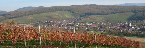 Blick vom Batzenberg nach Osten über Pfaffenweiler am 10.11.2006