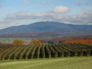 Tele-Blick vom Bildstckli an der Rmerstrasse bei Huttingen nach Nordosten zum Hochblauen am 20.11.2006