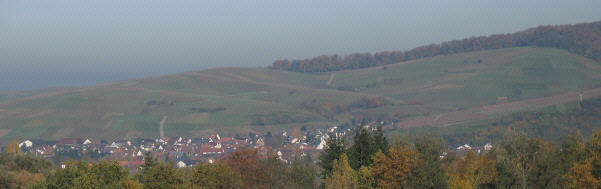 Tele-Blick vom St.Gotthardhof bei Staufen nach Norden über Ehrenkirchen hoch zur Sonnenhalde am 15.11.2006