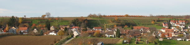 Blick nach Norden vom Basler Weg auf Huttingen am 20.11.2006