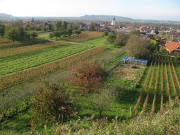 Blick nach Westen ber Knigschaff-hausen zum Limberg ob Sasbach am 6.11.2006