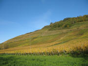 Blick von Niederweiler nach Nordwesten hoch zum Innerberg am 2.11.2006