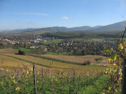 Blick vom oberen Rappenweg nach Nordosten ber Mllheim (links) und Vgisheim