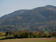 Tele-Blick vom Kirschbumlebuck zwischen Zunzingen und Mllheim ber Badenweiler zum Blauen am 26.10.2006