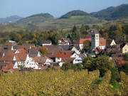 Tele-Blick vom Britzinger Weg zur Philipps-Linde nach Norden am 26.10.2006