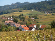 Tele-Blick vom Britzinger Weg zur Philipps-Linde nach Norden ber Britzingen nach Muggarth am 26.10.2006