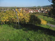 Blick vom Britzinger Weg zur Philipps-Linde nach Norden am 26.10.2006