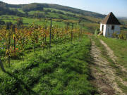 Blick nach Sden auf dem Muggarther Berg zum Rebhusle am 26.10.2006