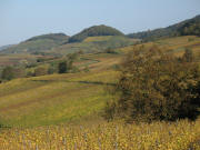 Blick von Muggarth nach Norden ber die weinhnge zu Kastellberg und Fohrenberg am 26.10.2006