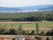 Tele-Blick nach Osten über den Mooswald auf Freiburg am 22.10.2006