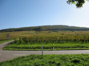 Blick von der Strassenkreuzung Britzingen - Zunzingen - Dattingen nach Osten hoch zum Rosenberg am 26.10.2006