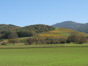 Blick vom Kirschbumlebuck zwischen Zunzingen und Mllheim zum Innerberg ob Niederweiler am 26.10.2006