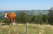 Blick vom Osthang des Hinterwaldkopfes nach Nordosten auf Breitnau ud Nessellachen (links) am 5.9.2006