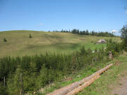 Blick vom Dr.Ganter-Weg nach Nordwesten zur Hinterwaldkopfhtte am 5.9.2006