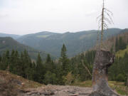 Blick von der Mantelhalde westlich der Wilhelmer Htte nach Norden bers Wilhelmer Tal zur Erlenbacher Htte am 10.9.2006