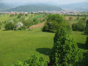 Tele-Blick vom Aussichtsturm Hohe Mhr nach Norden auf Schopfheim am 28.4.2007