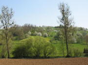 Blick vom Sträßchen nach Gennenbach nach Süden zum Hunnenberg am 19.4.2007 - Mispeln und blühende Bäume