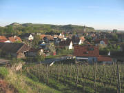 Blick vom Bergle nach Norden über Sasbach zum Lützelberg (Mitte) und Limberg (links) am 17.4.2007