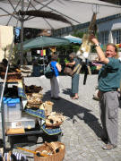 26.8.2008 auf dem Littenweiler Bauernmarkt - Pedro