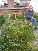 Misteln aus dem Elsass am 6.12.2007 auf dem Mnstermarkt