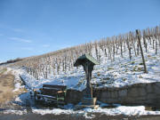 Blaue Farbbeutel auch auf dem Weg zum Kirchberg vor dem Kreuz am 28.1.2007