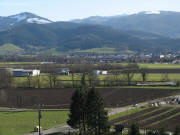 Blick vom Klorerberg nach Südosten über  zu Kirchzarten, Giersberg und Hinterwaldkopf am 9.2.2007