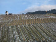 Blick nach Osten zum Muggarther Berg am 28.1.2007