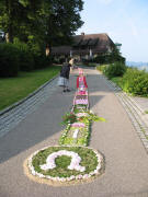 Am Beginn des langen Blumenlufers - Blick nach Sden um 8 Uhr am 7.6.2007