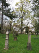 Blick nach Norden zu einer alten Buche im Alten Friedhof am 30.3.2007