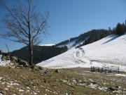 Blick nach Osten hoch zum Roteck 1156 m rechts oben am 11.3.2007