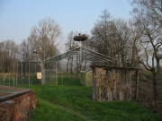 Blick nach Osten in der Pflegestation Reute am 14.3.2007 - 3 Nester belegt