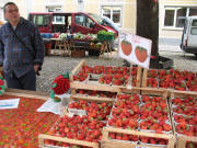 Erdbeeren aus kologischem Landbau von Kury aus Buchholz am 10.5.2007