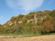 Blick nach Nordosten zum Lößhang des Dimbergs am 5.11.2007