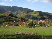 Blick vom Vrlinsbach nach Westen ber Oberried am 31.10.2007